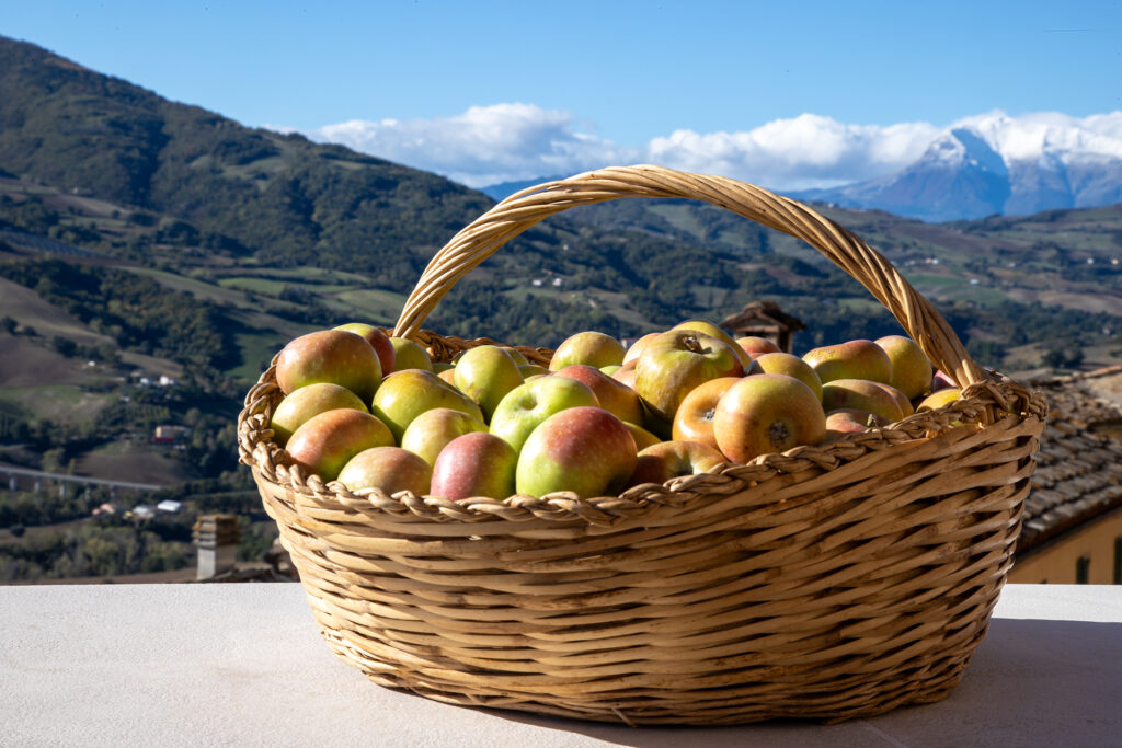 Foto Comune di Montedinove